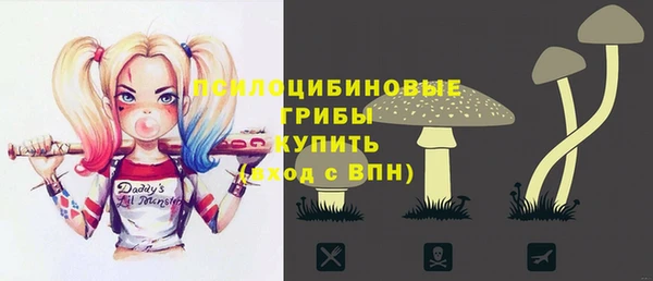 винт Богданович