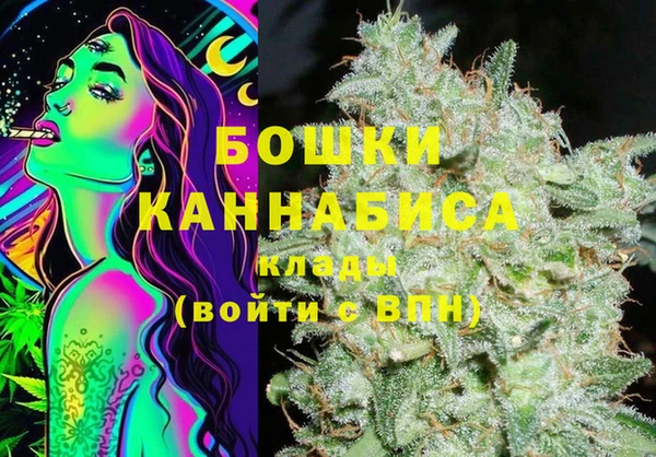 винт Богданович